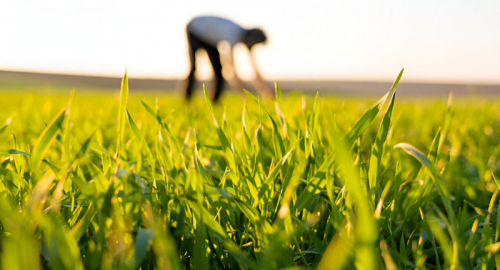 PAC 2028-2034: Il Futuro dei Sussidi Agricoli Europei